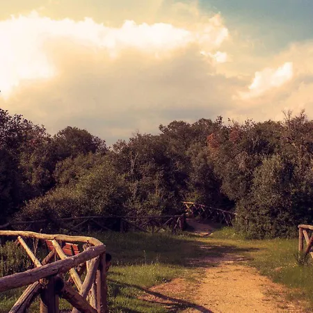 Casa Da Terry Apartment *