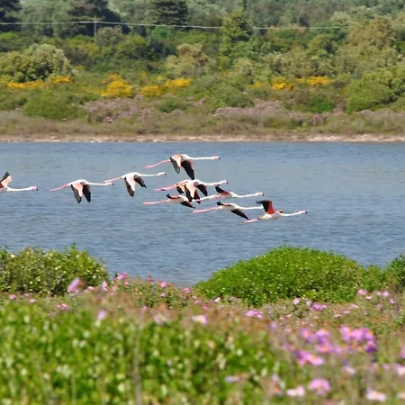 Casa Da Terry * San Pietro in Bevagna