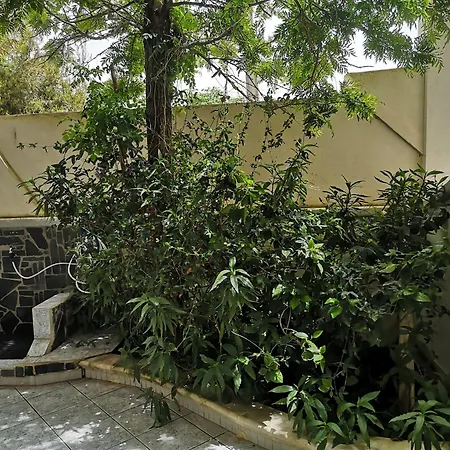 Apartment Casa Da Terry *